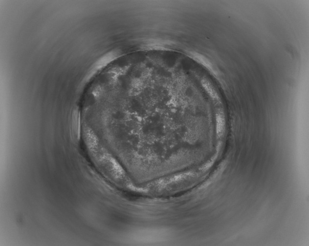 X0000113881219200910151306