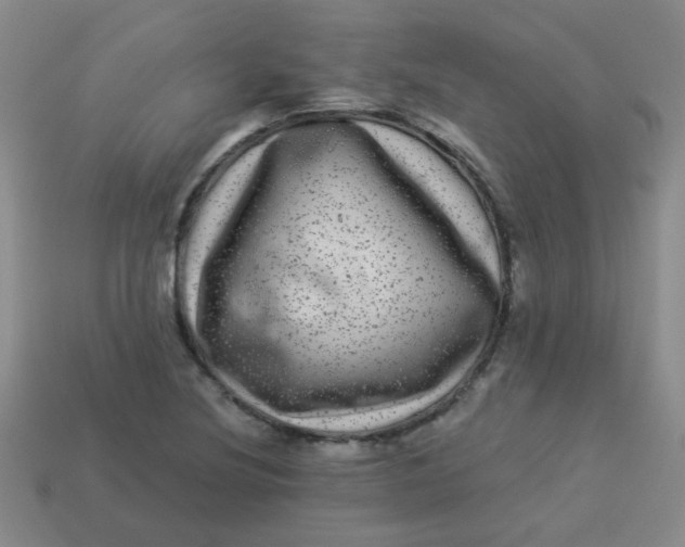 X0000113881220200910151306