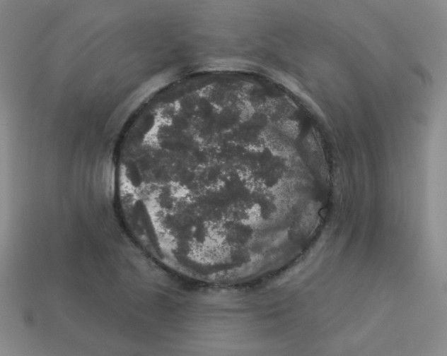 X0000113881221200910151306