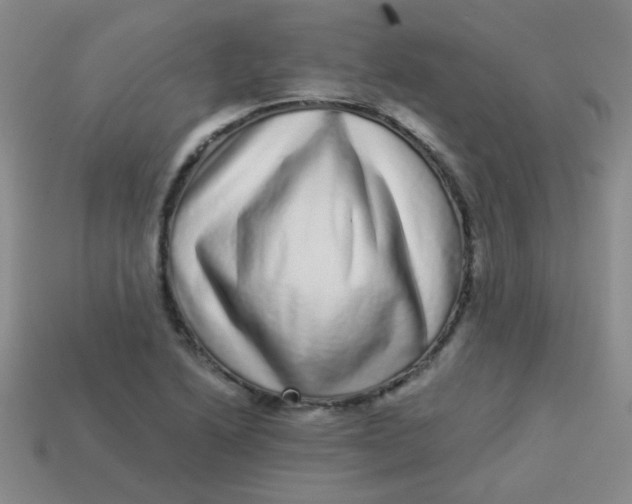 X0000113881222200910151306