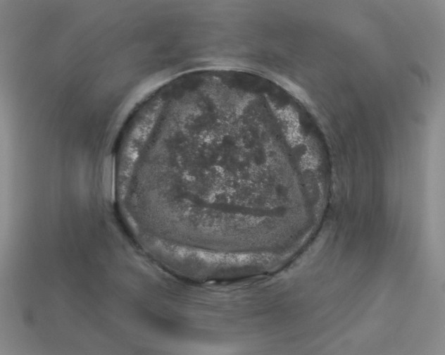 X0000113881223200910151306