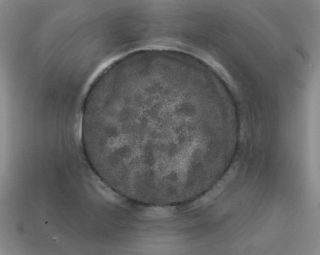 X0000113881224200910151306