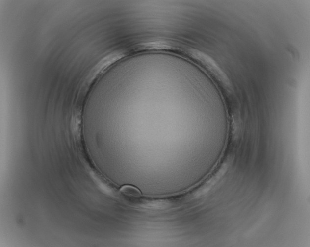 X0000113881225200910151306