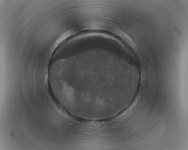 X0000113881226200910151306