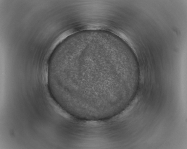 X0000113881227200910151306