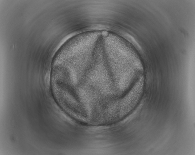 X0000113881228200910151306