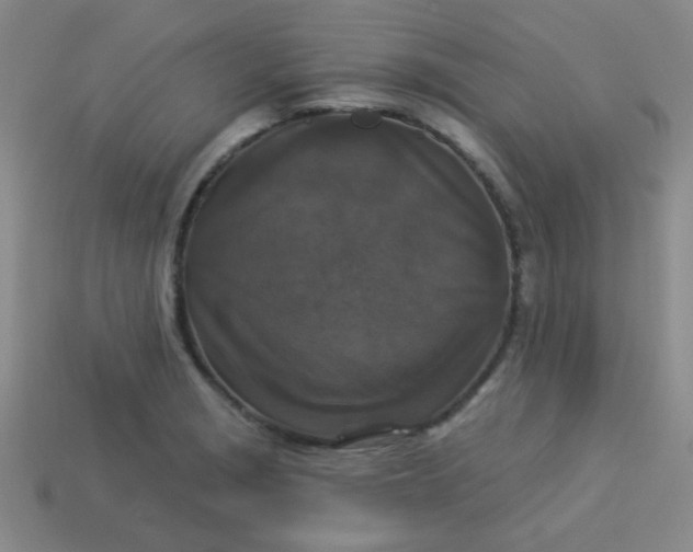 X0000113881229200910151306