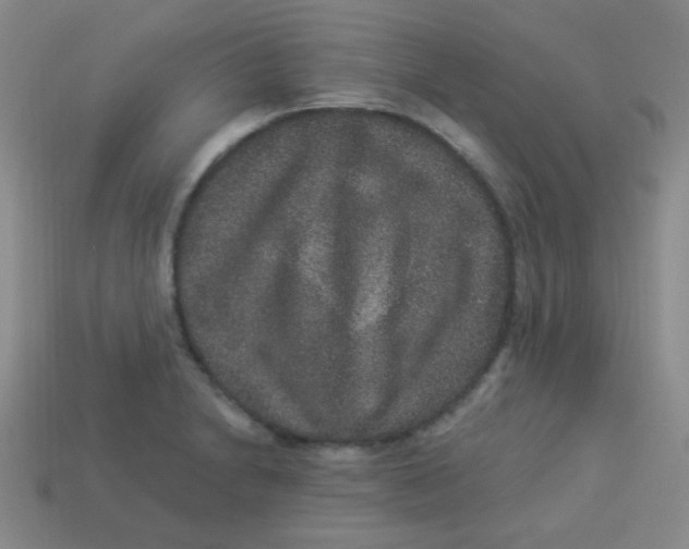 X0000113881230200910151306