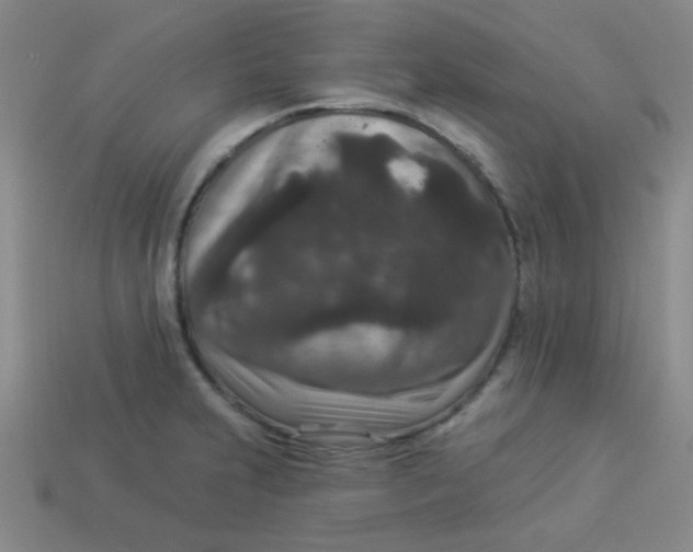 X0000113881231200910151306