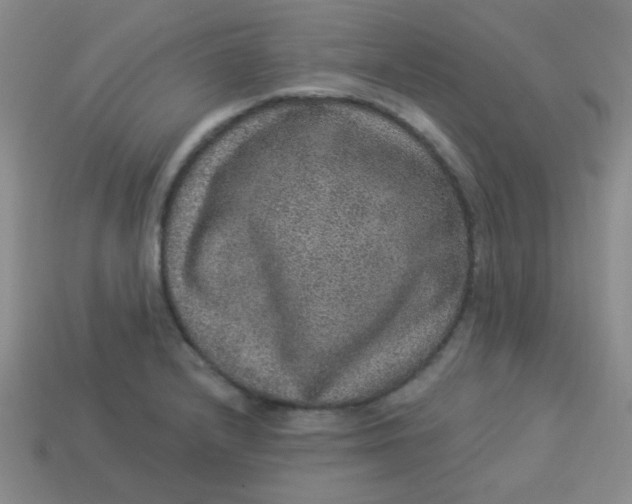 X0000113881232200910151306