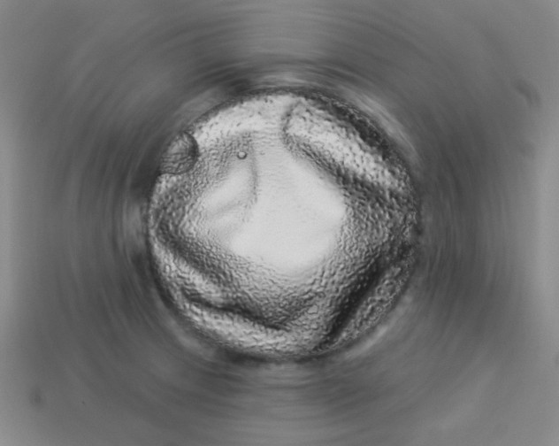 X0000113881233200910151306