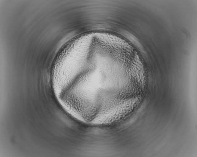 X0000113881234200910151306