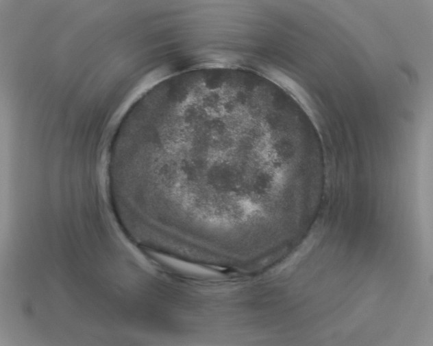 X0000113881235200910151306