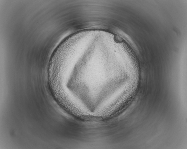 X0000113881236200910151306