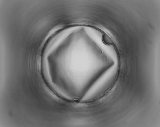 X0000113881238200910151306