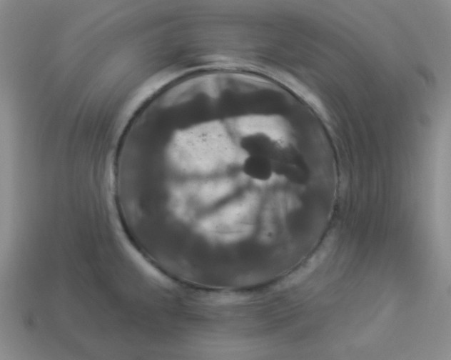 X0000113881239200910151306