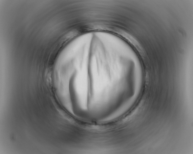 X0000113881241200910151306