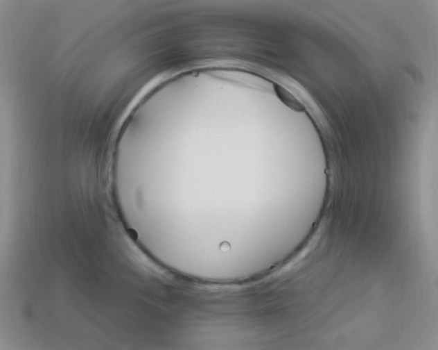 X0000113881244200910151306