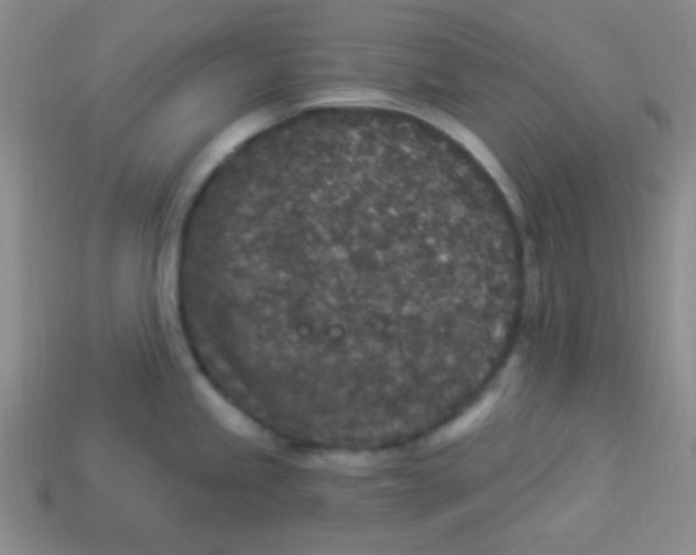 X0000113881245200910151306