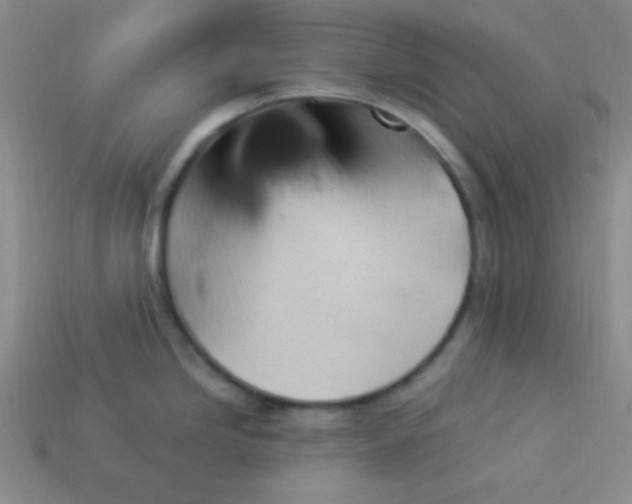 X0000113881246200910151306