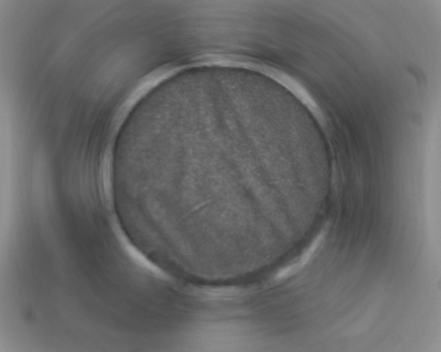 X0000113881247200910151306