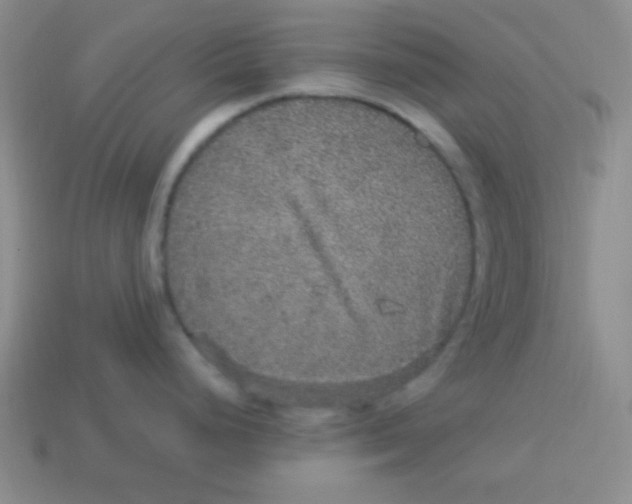 X0000113881248200910151306