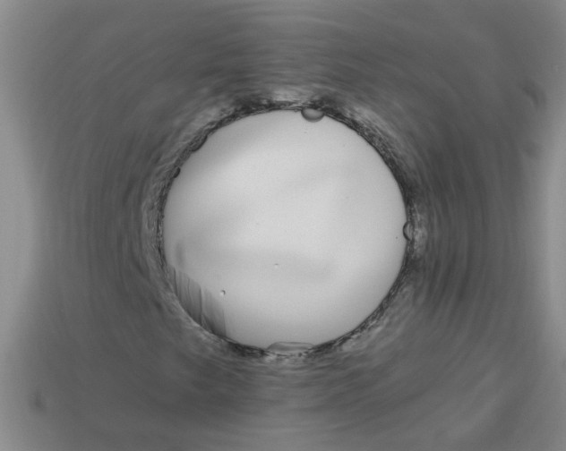 X0000113881249200910151305