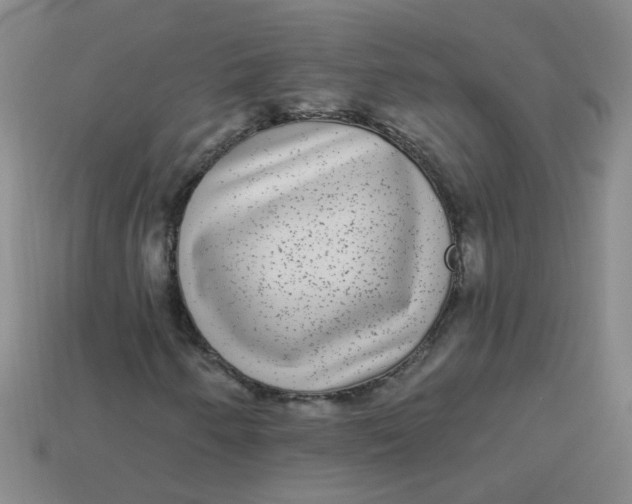 X0000113881250200910151305