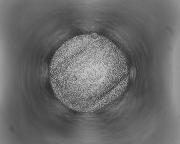 X0000113881251200910151305