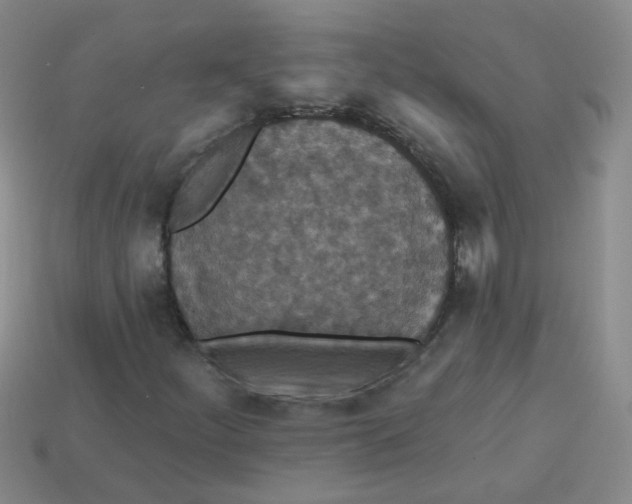 X0000113881252200910151305