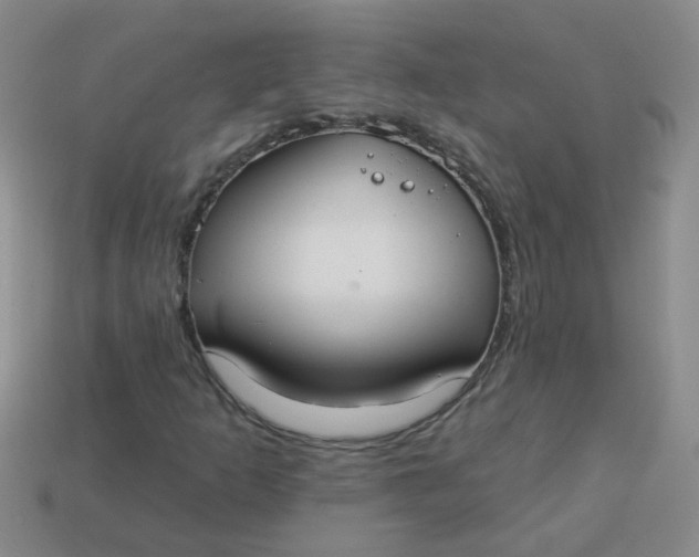 X0000113881253200910151305