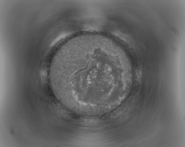 X0000113881254200910151305