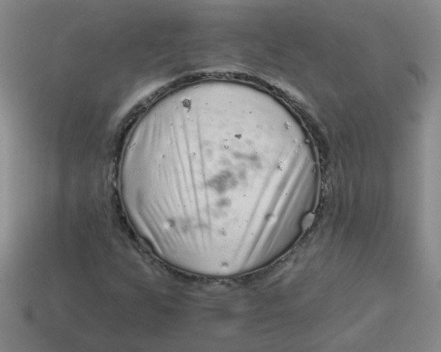 X0000113881255200910151305