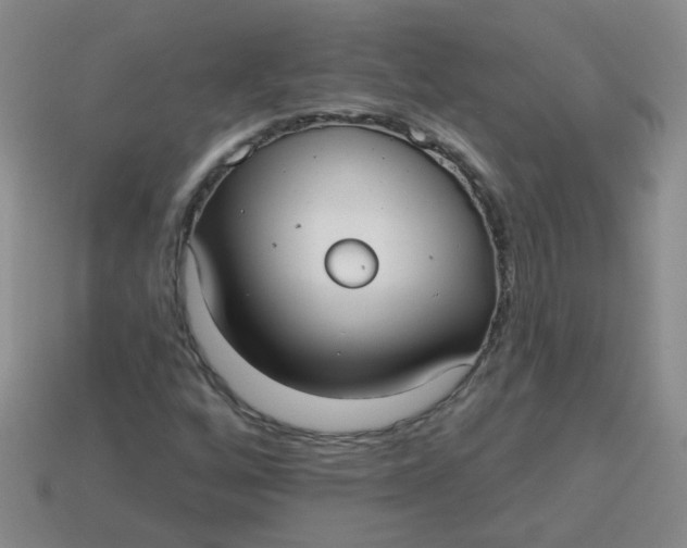 X0000113881256200910151305