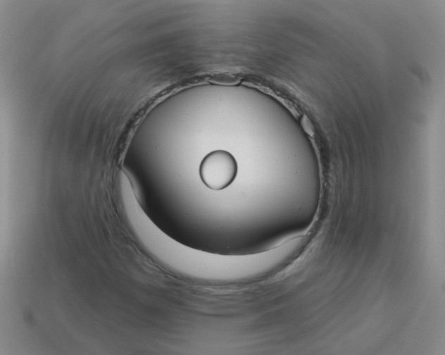 X0000113881257200910151305