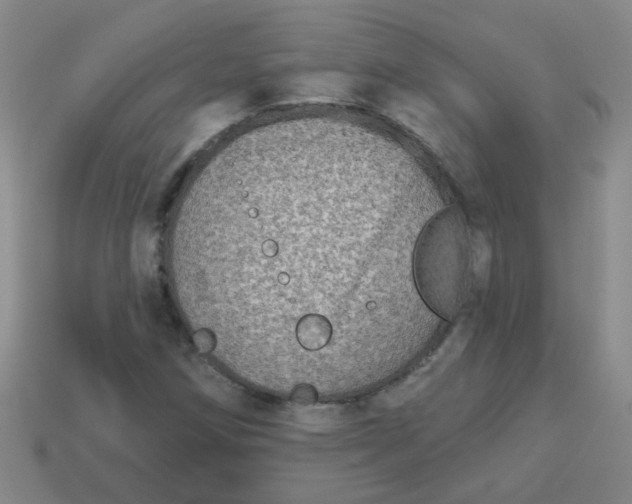 X0000113881258200910151305