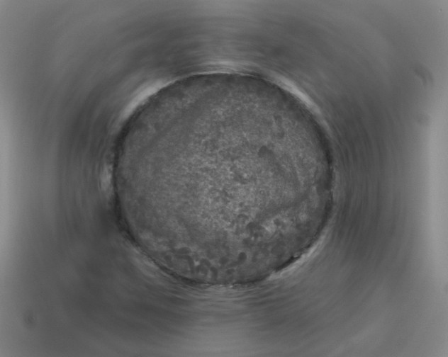 X0000113881259200910151305