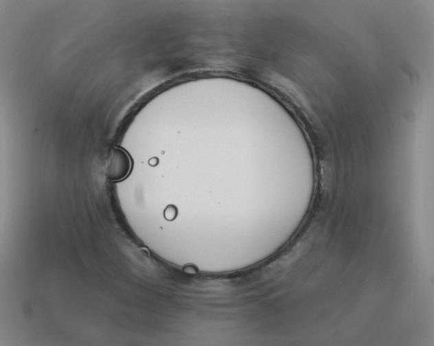 X0000113881260200910151305