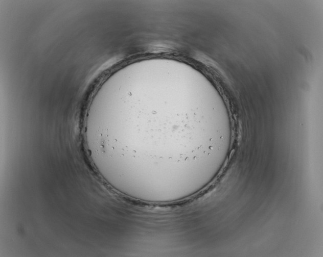 X0000113881261200910151305