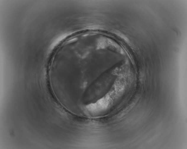 X0000113881263200910151305