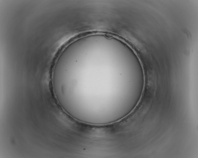 X0000113881264200910151305