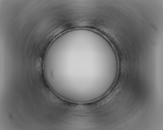 X0000113881265200910151305