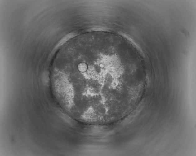 X0000113881266200910151305