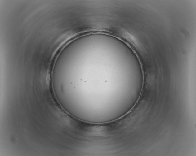 X0000113881268200910151305