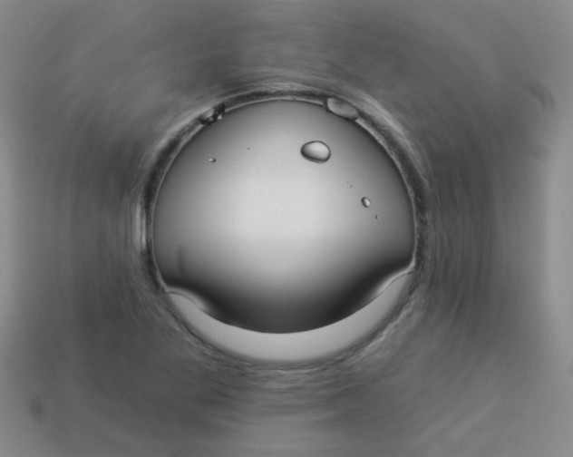 X0000113881269200910151305