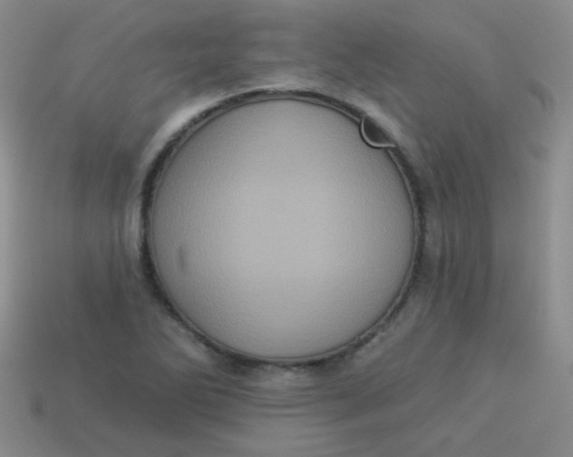 X0000113881270200910151305