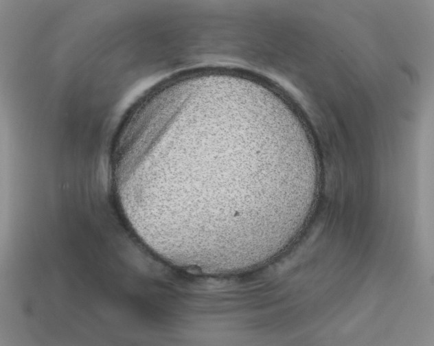 X0000113881271200910151305