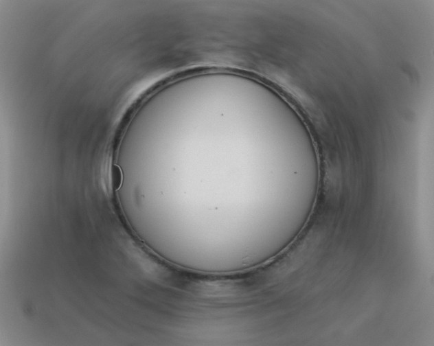 X0000113881272200910151305