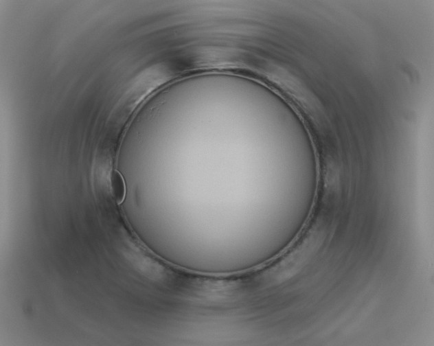 X0000113881273200910151305