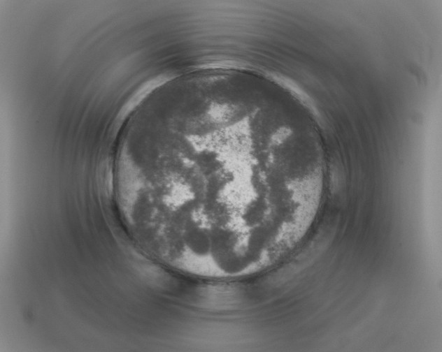 X0000113881274200910151305